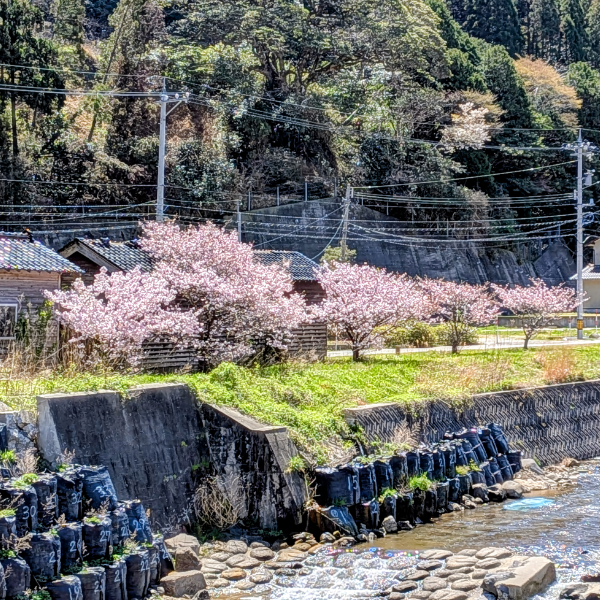 地域との長期的な交流